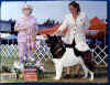 Best In Show Specialty -ACPS 2005